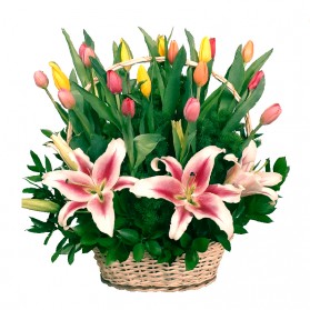 Canasta de tulipanes