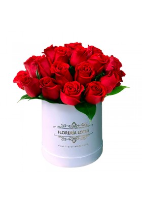 Box blanco de 24 rosas