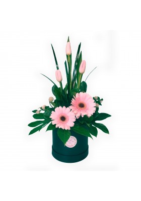 Box de Tulipanes y Gerberas